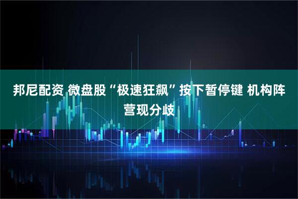 邦尼配资 微盘股“极速狂飙”按下暂停键 机构阵营现分歧